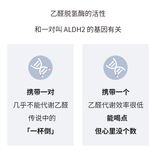 喝酒上脸是什么原因，喝酒上脸是怎么回事（喝酒上脸≠能喝）