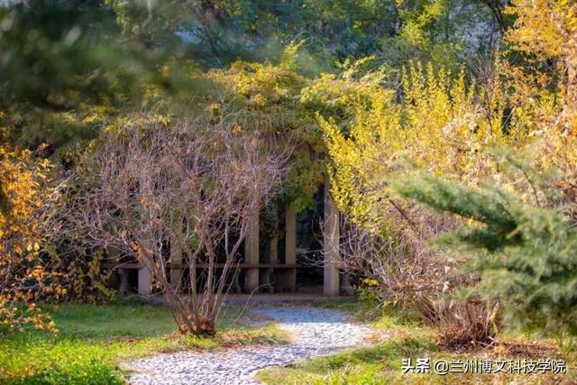 武汉语言文化学院，武汉语言文化职业学院（兰州博文科技学院2022年招生简章）