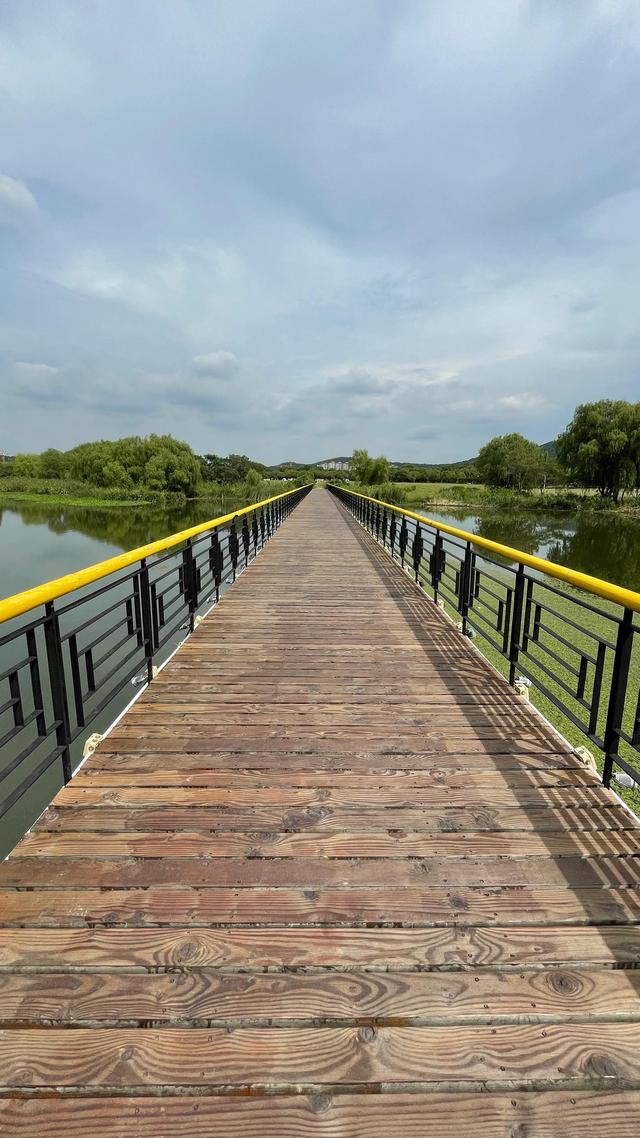 上海到青岛多远，上海到青岛的路程（上海青岛往返1400公里全程无高速沿途城市蜻蜓点水游）