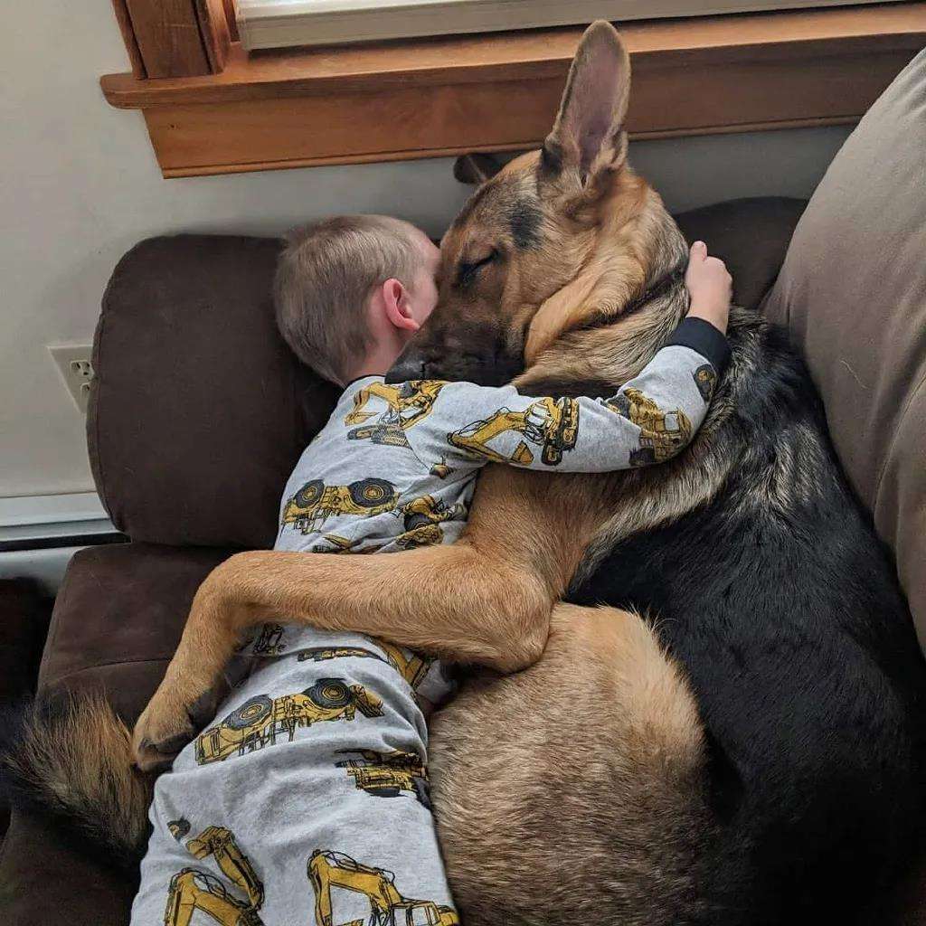 狗狗趴在我身上很快就能睡着，狗狗趴在我身上很快就能睡着为什么（真的是因为爱你吗）