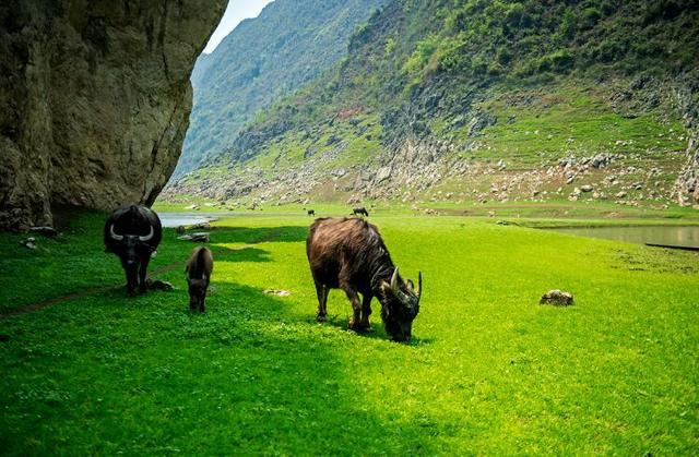 贵州旅游十大景点，贵州旅游十大景点排名千户苗寨（贵州十大冷门景点）
