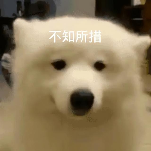 打call是什么意思，call是什么意思（可真的太有魅力了）