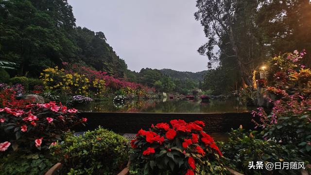 深圳市仙湖植物园，深圳仙湖植物园适合夏天逛吗（深圳仙湖植物园现场实拍图来了）