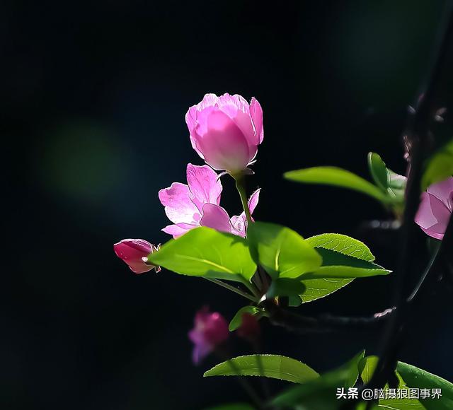 拍照片基本技巧，拍照片基本技巧和方法（可以提升照片的美感）