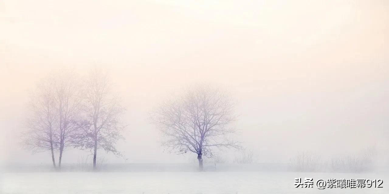 一句简短的雪景句子，雪景的句子唯美简短（那些关于下雪的文案）