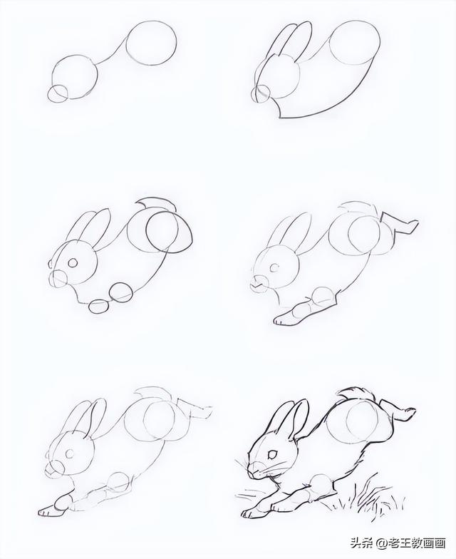 怎么画鱼最简单又好看，鱼简笔画彩色（25个动物简笔画教程分享给你）