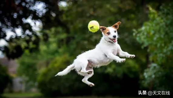 重力产生的原因，重力是如何产生的（科学家给出答案，看完明白了）