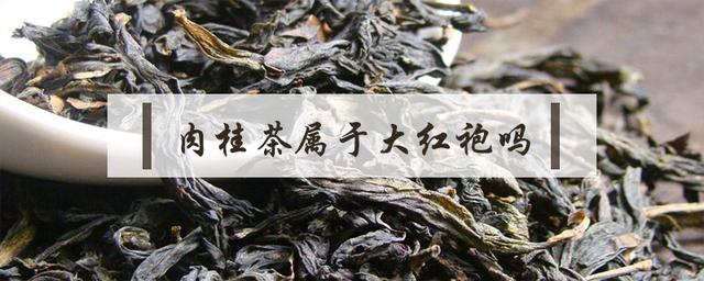 武夷山肉桂茶的功效与作用，武夷山肉桂茶的功效（肉桂和大红袍的区别是什么）