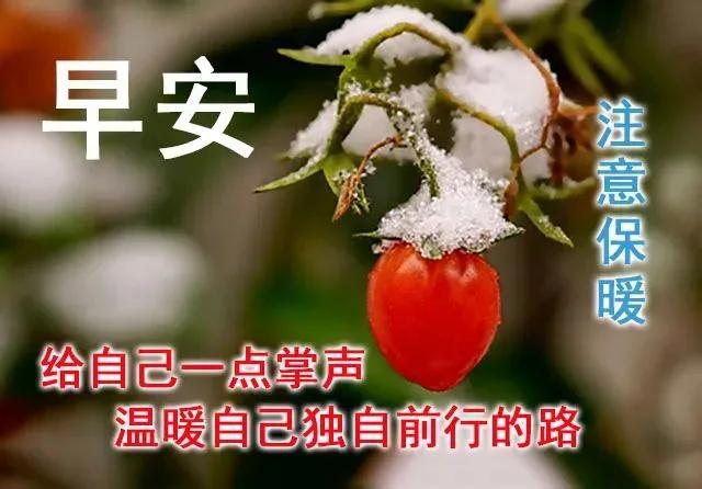 一天一句心情早安语，早安正能量简单一句话（祝你天天开心）