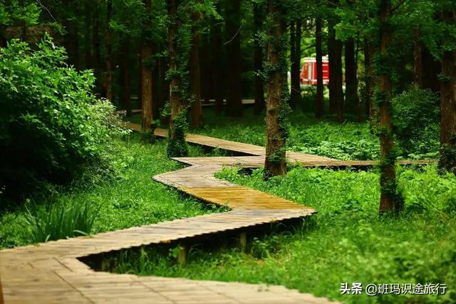 南京什么山最好玩，南京有哪些山值得一去（必游南京这座大山）