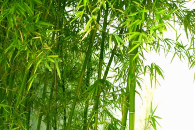 赋予人的品格和志向的诗句，被赋予人的品格和志向的诗句（于平凡之物中寓伟大志向和高尚情操）