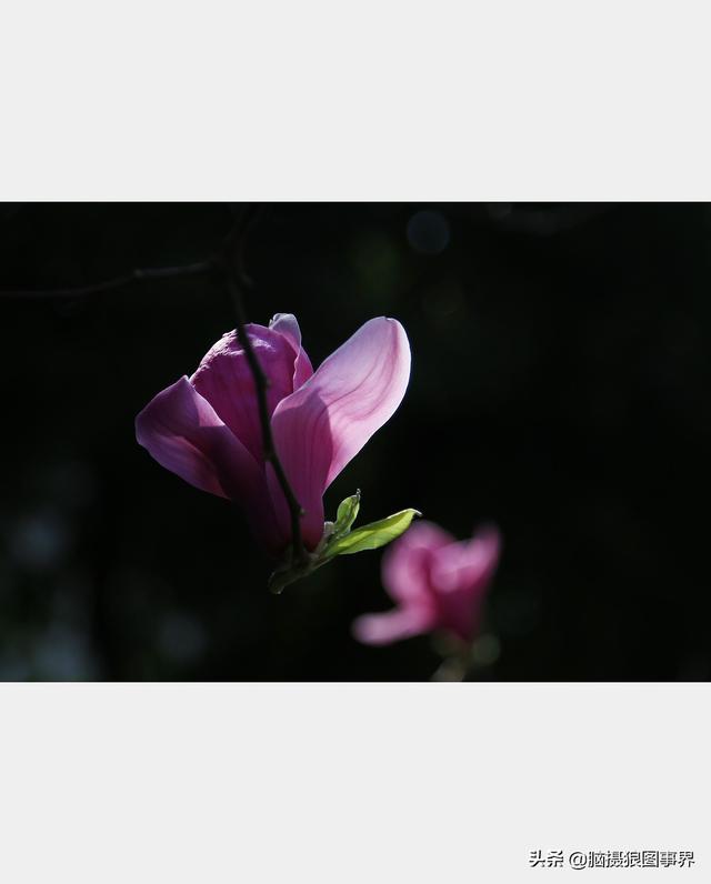 高光质感背景图，高清高级感背景图（若有这6个错误的深色背景照片）