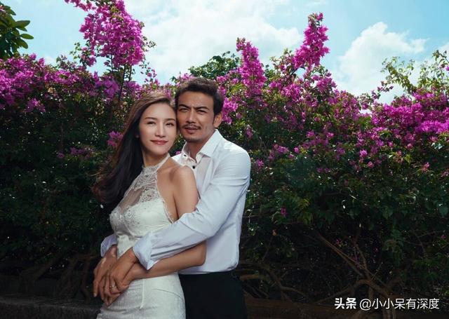 杨烁的魅力有型，变成油腻邋遢，和女网红不清不楚，宠妻人设翻车