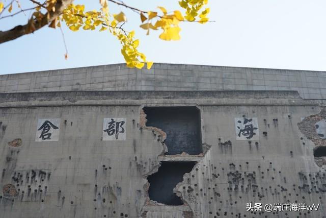 上海最好玩的地方，上海必须去玩的地方有哪些（去上海十个必打卡地）