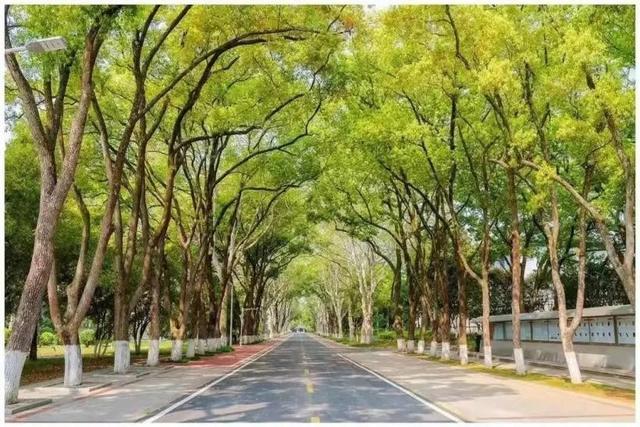 全国大学专业排名一览表，全国化学专业大学排名一览表（2022中国大学专业排名最新发布）