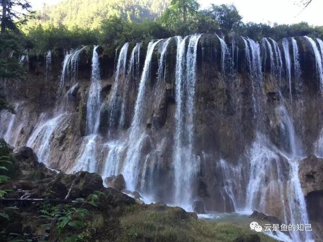 九寨归来不看水，九寨归来不看水的意思（黄山归来不看岳,九寨归来不看水的意思）