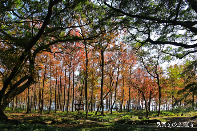 霞浦建善寺简介，2023年霞浦旅游月历新鲜出炉~快收藏→