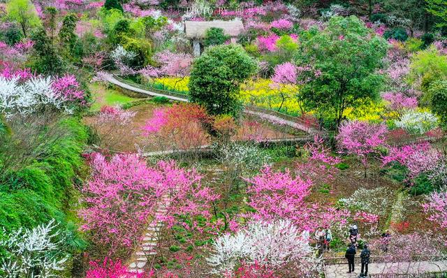 酉阳桃花源景区，重庆酉阳桃花源景区几月份去合适（桃花源、叠石花谷、龚滩古镇等六大景点玩到尽兴）