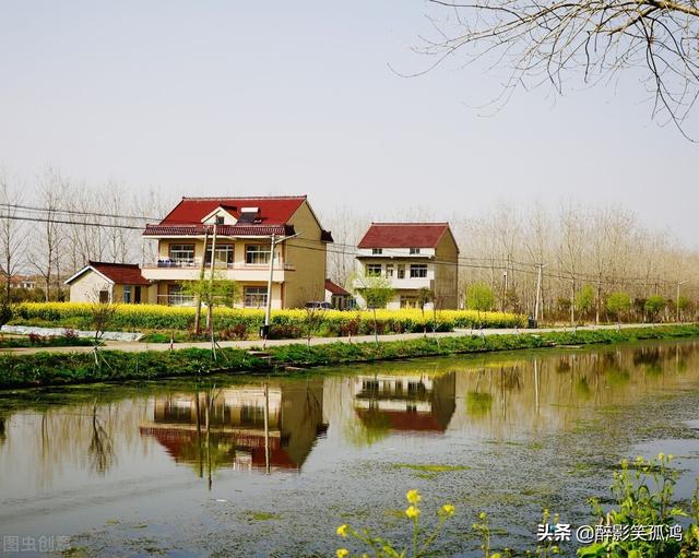 大熊猫优秀作文450字，国宝大熊猫-关于动物的作文450字（三年级语文下册习作7《国宝大熊猫》范文）