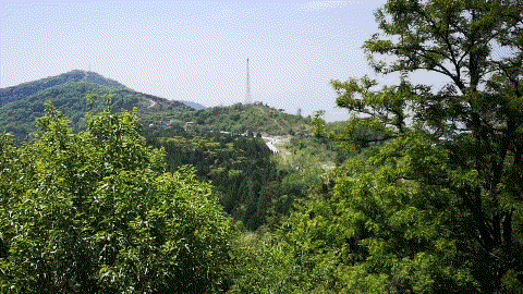 北京西山森林公园，北京西山森林公园登山路线推荐（西山国家森林公园）