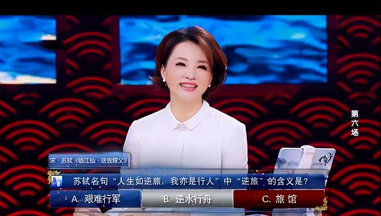 亦的读音是什么，亦字的拼音怎样读（写下最治愈的《临江仙》）