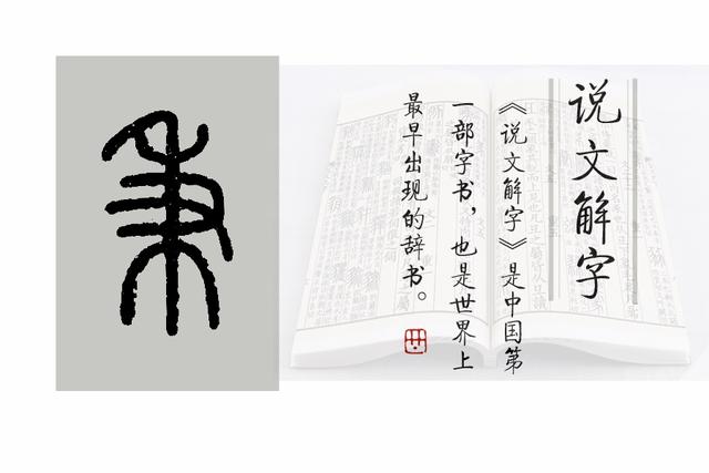 秉怎么读，秉怎么读组词（《说文解字》551课）