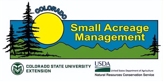 small是什么意思英语，small是什么意思（small和little有什么区别）