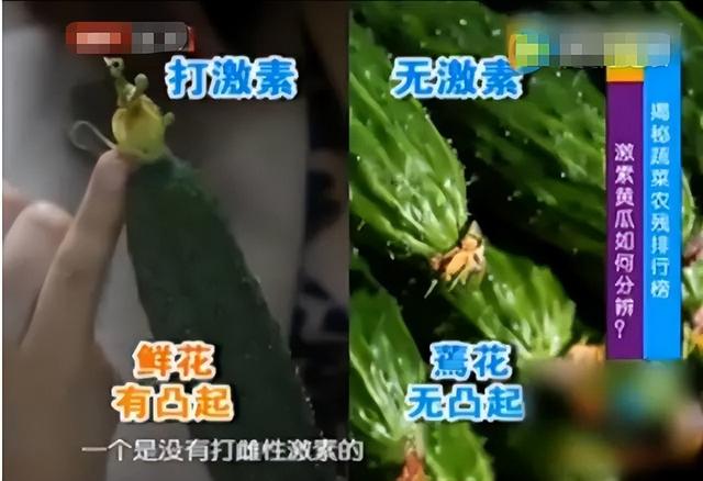 哪些人千万别吃黄瓜，三类人不宜吃黄瓜（提醒：尽量少吃这种黄瓜）