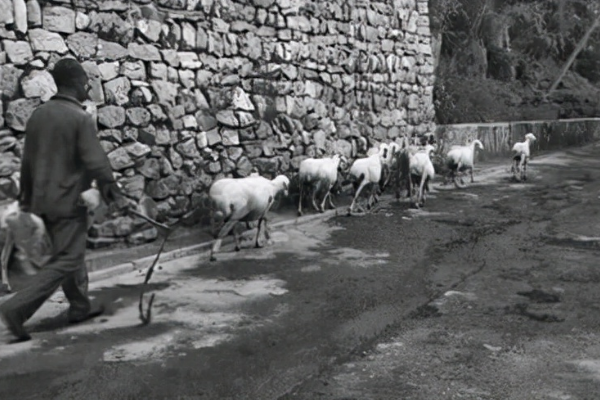 妇女被拐卖真实案例（她因一己私利成为人贩子）