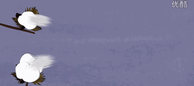 铂金棉是什么面料和纯棉的有什么区别，铂金棉是什么面料和纯棉的有什么区别啊（为什么价格相差那么多）