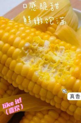 水果玉米煮多长时间，水果玉米煮多久（金山本地水果玉米上市）
