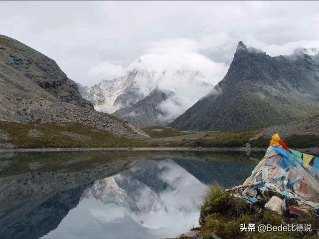 能虫是什么样子的（戈壁沙漠的传说）