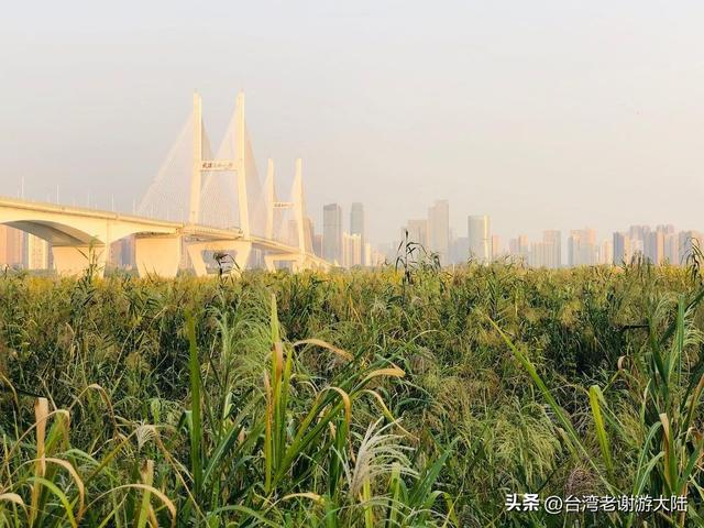 汉口属于哪个省，汉口是哪个省（汉口《知音号》带你穿越回民国）