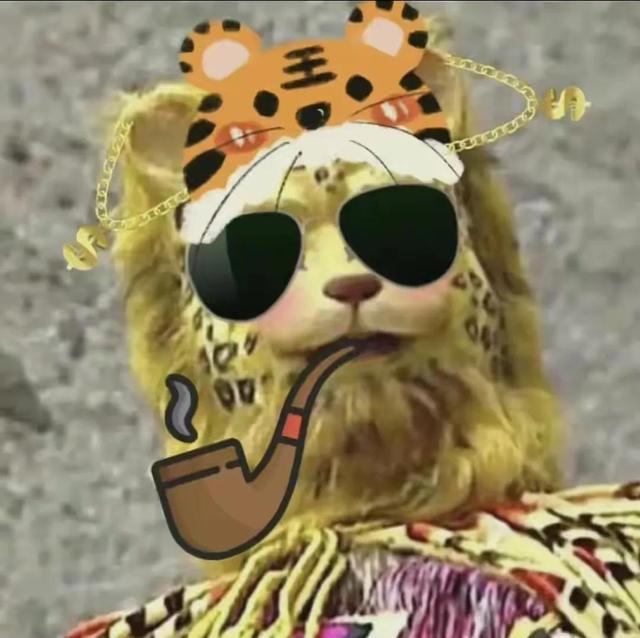 金钱豹头像图片，金钱豹头像✨微信（最全金钱豹头像！请叫我谢谢）