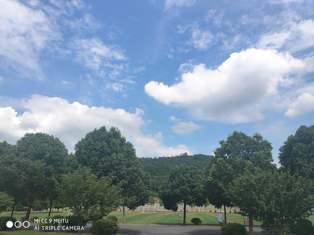 介绍南京特产盐水鸭文章，介绍南京特产盐水鸭文章作文（南京篇——金陵盐水鸭）