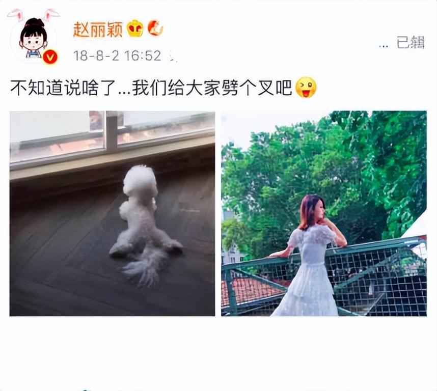 赵丽颖为什么和冯绍峰离婚？附：赵丽颖冯绍峰婚变真实原因