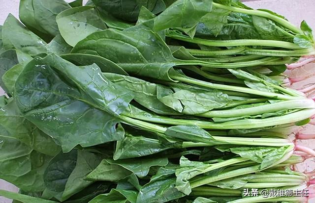 黄花菜是发物吗，晒干的黄花菜是发物菜吗（提醒：想要稳定甲功）