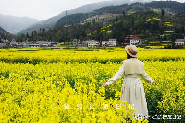 万亩油菜花海游玩攻略，奔赴川陕交界的巴山秘境