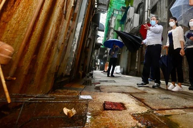 家里有老鼠怎么办能除根 家里老鼠太多怎么消灭，家里有老鼠怎么办能除根（扑灭一只老鼠成本超万元）