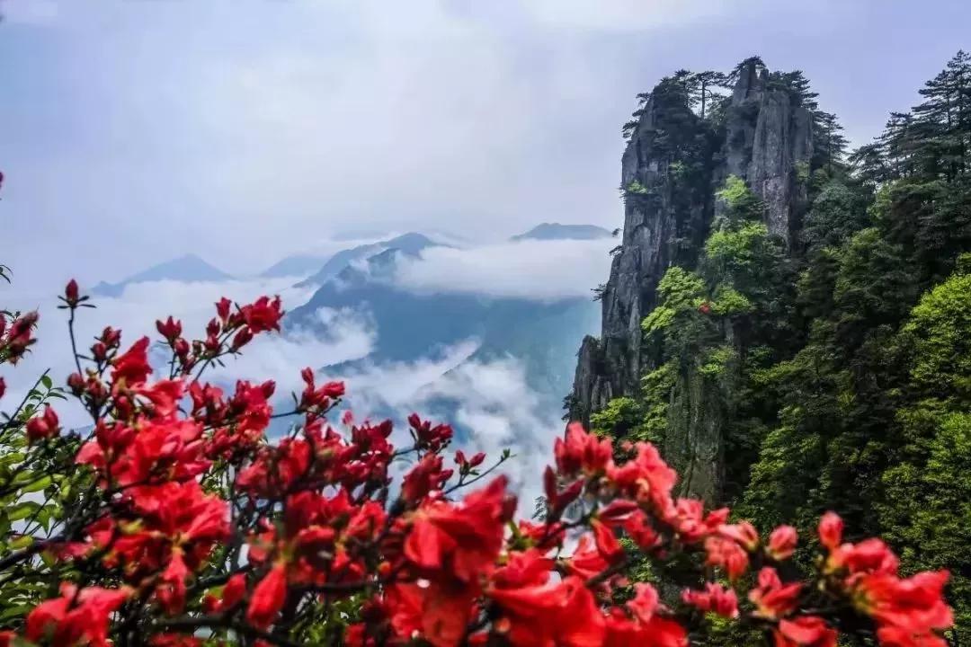 看望孤寡老人作文500字（看望孤寡老人作文700字點面結合）