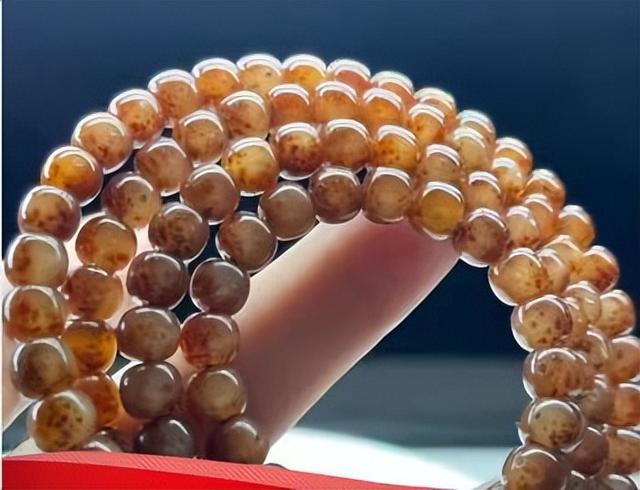 哪种菩提子最珍贵，菩提子是什么（再谈常见的几种星月）