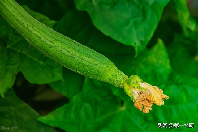 吃瓜是什么意思，吃瓜表情是什么意思（记得常吃这5种瓜）