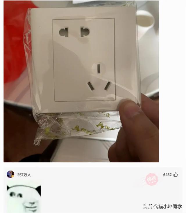 壁虎能长多大，为什么家里有壁虎一定要打死（“以为买了个壁虎）