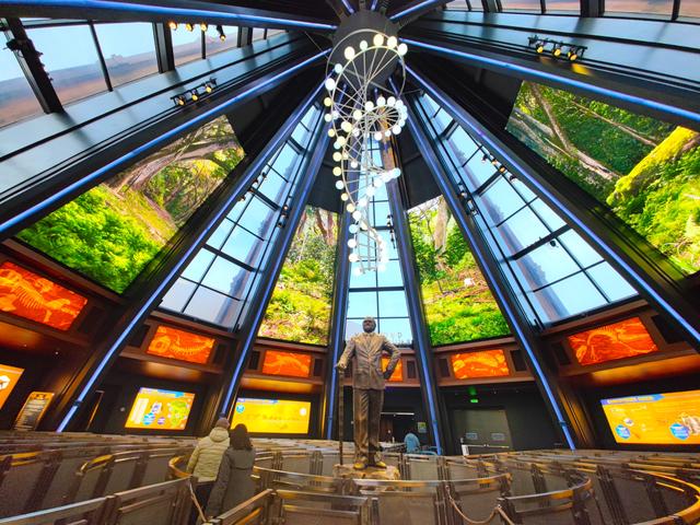 北京环球影城景点项目，北京环球影城“空城”了