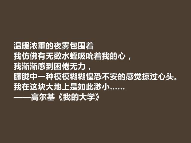 高尔基的名言，高尔基的名言关于读书（名作《我的大学》十句格言）