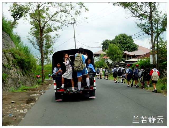 猫屎咖啡的价格，猫屎咖啡多少钱一杯（印尼巴厘岛旅游）
