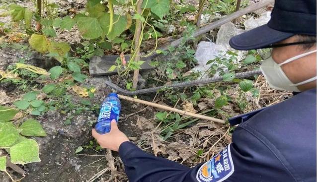 五常市市长，五常市五常镇书记（小镇蛇出没——五常公安抓蛇“归案”除隐患）