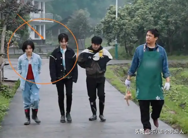 李维嘉身高，何炅和李维嘉的身高是多少（穿高跷、垫木板、踩箱子）