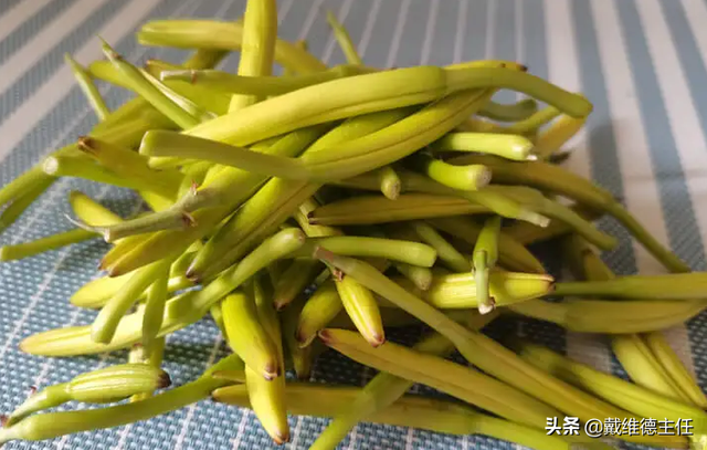 黄花菜是发物吗，晒干的黄花菜是发物菜吗（提醒：想要稳定甲功）