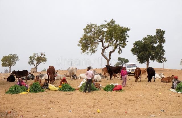 你很秀是什么意思，秀儿是你吗什么意思（秀商时代每日说点事）